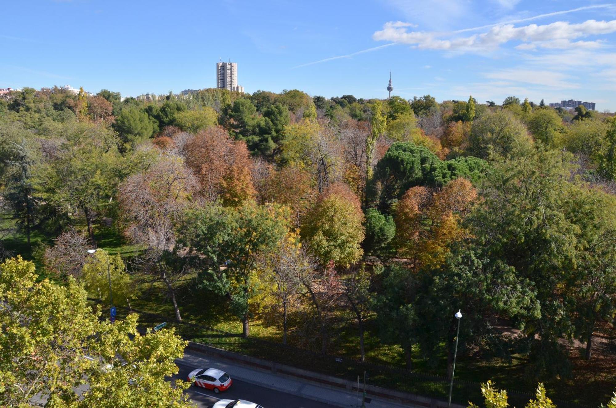 Apartamento Deluxe de 1 dormitorio con vistas al parque